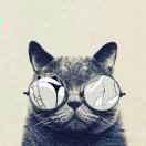 小冰尜的个人资料头像