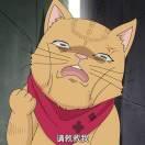 无心人偶的个人资料头像