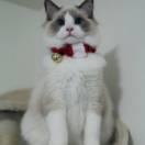 33爱学习60167的个人资料头像