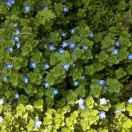 mzgcz的个人资料头像