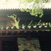 gallop成的个人资料头像