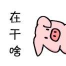 少吃肉的个人资料头像