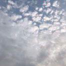 有志青年本尊60235的个人资料头像