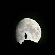 wen浩南的个人资料头像