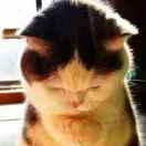 洋爱学习60300的个人资料头像