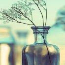 啊的个人资料头像