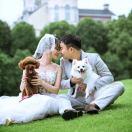 咕噜咕噜变成球的个人资料头像