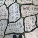 小苏爱学习60404的个人资料头像