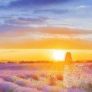 如乐的个人资料头像