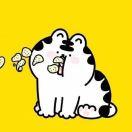 浪的个人资料头像