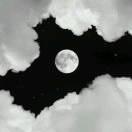 爱码士He的个人资料头像