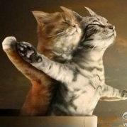 _宵宵的个人资料头像