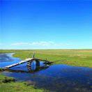 牧羊人就是我60569的个人资料头像