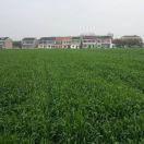 JWWZS的个人资料头像