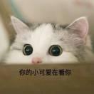 半生瓜就是我的个人资料头像