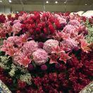 AngelaMeng的个人资料头像