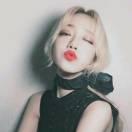 AI科技浪人的个人资料头像