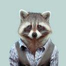 青木子_的个人资料头像