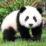 zengyun9032584的个人资料头像