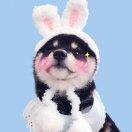 白黑酱的个人资料头像