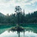 Edifier的个人资料头像