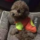 Young同志60669的个人资料头像