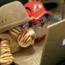 Delete小刘的个人资料头像