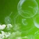 小娃娃的个人资料头像