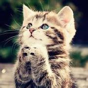 Exhuasted的个人资料头像