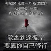 ii1liill的个人资料头像