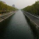 逆向人声的个人资料头像