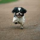 在时间里流浪的个人资料头像