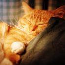 HelloWorld重名了60934的个人资料头像