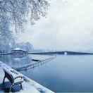 淺淺遺忘同志的个人资料头像