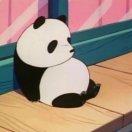 Meldy的个人资料头像