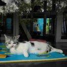 阿古本尊的个人资料头像