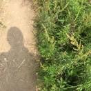 Kyen的个人资料头像