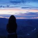 Fei酱61239的个人资料头像