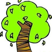 陈言01的个人资料头像