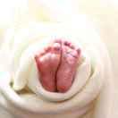 流苏树的个人资料头像