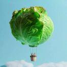 光明c的个人资料头像