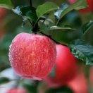 Victor同学61429的个人资料头像