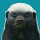 平头哥爱学习61449的个人资料头像