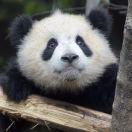 Architect777的个人资料头像