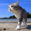 古溪古稀的个人资料头像