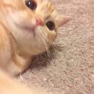 蝎子莱莱不想说话61507的个人资料头像