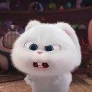 安然爱学习61510的个人资料头像