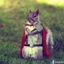 汉诺威的个人资料头像