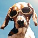 zg浅唱的个人资料头像