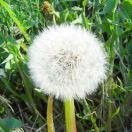 Joseph不想说话61593的个人资料头像